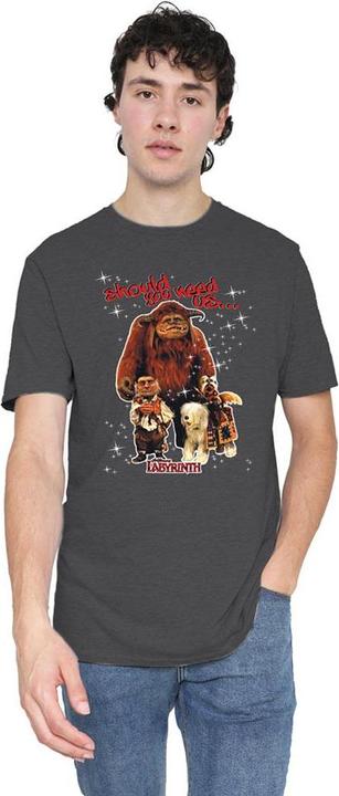 Produktbild Should You Need Us TShirt meliert (M)