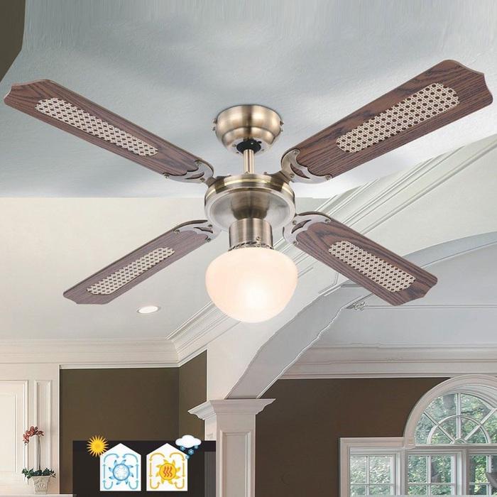 Produktbild Globo Champion (50 dB)