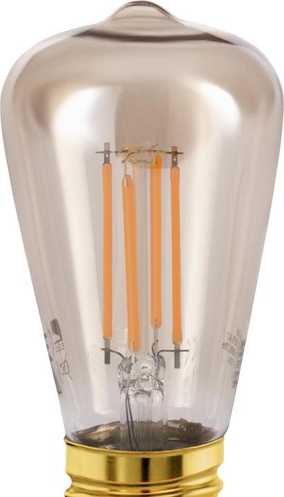 Actual product image EGLO LED illuminant (E27, 4 W, 270 lm, 1 x, G)