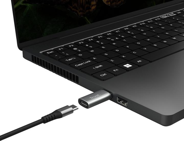 Produktbild Trust Calyx USB-A To USB-C Adapter 2p (USB Typ-C, 4.10 cm)