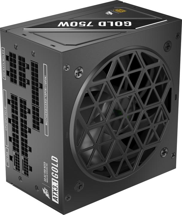 Produktbild 1stplayer Alimentation ATX NGDP Gold - 750W (Noir) (750 W)