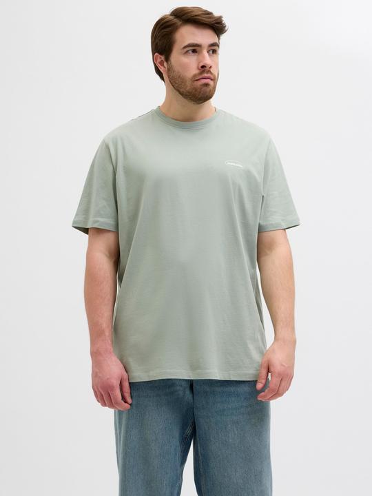 Actual product image Jack & Jones Plus Size Gedruckt T-shirt T-shirt (3XL)