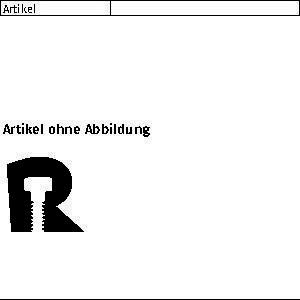 Promat, Tassello, Nageldübel R 89801 6 x 40 PZ Schr. Stahl galvanisch verzinkt/Dübel PA (100 pz.)