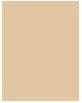 Actual product image MAC Cosmetics Pro Longwear Concealer (NC20)