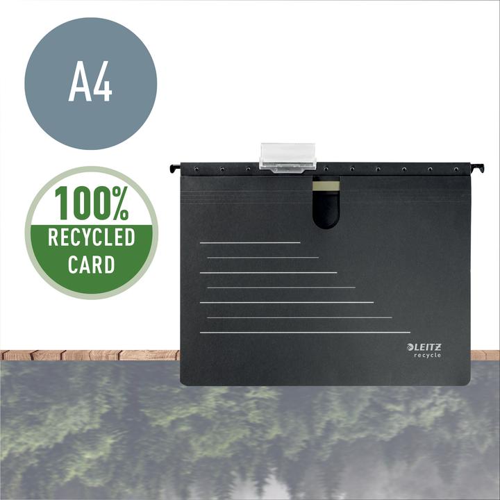 Actual product image Leitz RECYCLE - hanging file (A4, 1 x)