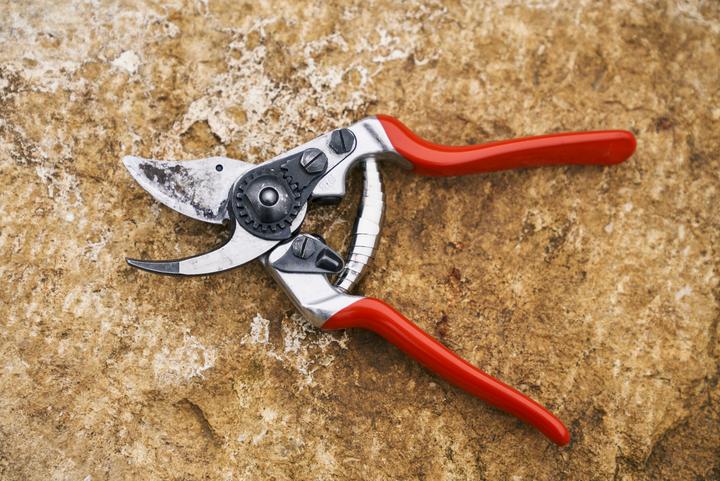 Actual product image Felco 14 Bypass secateurs for small hands, for right-handers