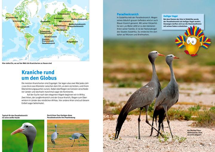 Image du produit Entdecke die Kraniche (Allemand, Helga Müller-Wensky, 2015)