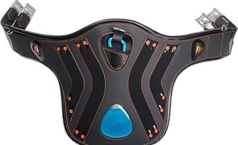 Produktbild eQuick Sattelgurt