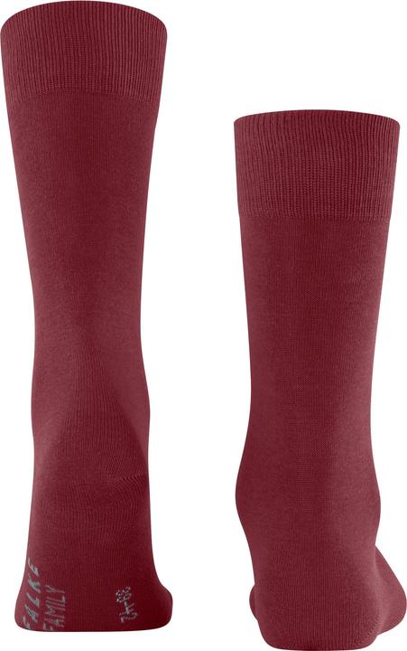 Produktbild Falke Family Socken (Einzelpack, 43 - 46)
