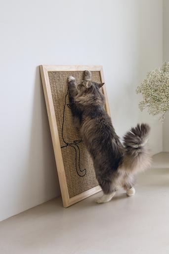 Actual product image Designed by Lotte Scratching board (70 cm, Brown)