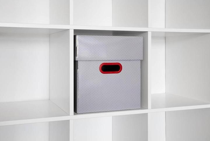 Immagine prodotto Feldherr Lagerbox FSLB310 Organizer Insert für Kingdom Death: Monster Gamblers (Materiale sintetico, Schiuma solida)