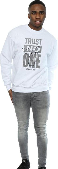 Image du produit Universal Textiles - Sweat TRUST ONE MOGWAI - Homme (L)