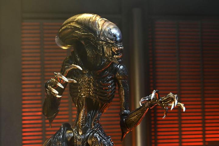 Actual product image Neca Alien: Romulus Ultimate Scorched Xenomorph