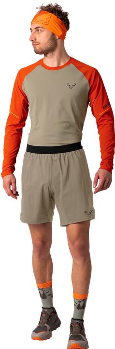Produktbild Dynafit Alpine Pro 2in1 Shorts Herren (XL)