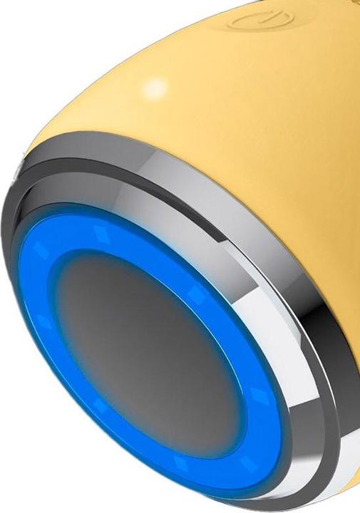 Produktbild InFace ION Facial Device