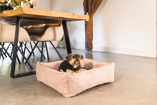 Productafbeelding Designed by Lotte Geribbeld (Hond)