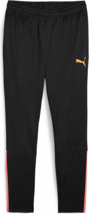 Actual product image Puma TeamLIGA training pants men (XL)
