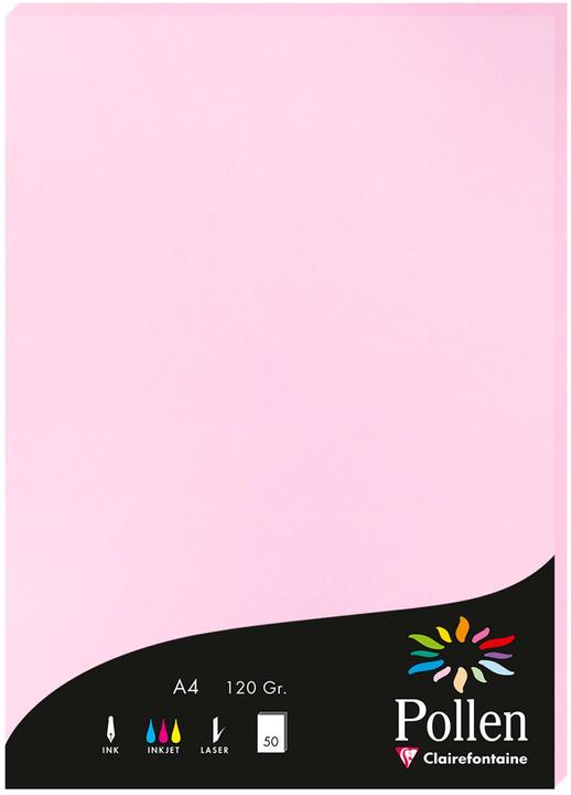 Rosa