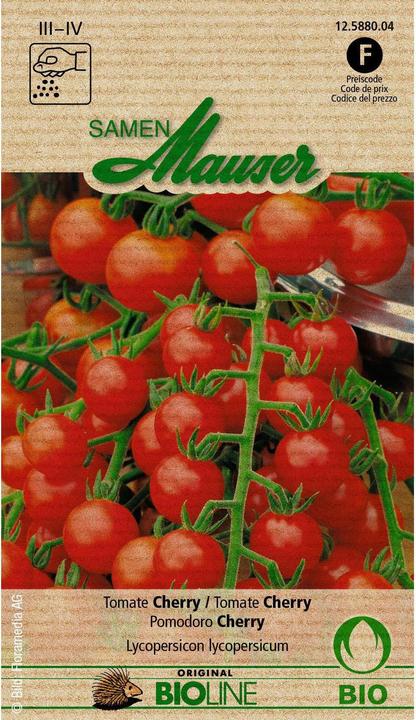 Image du produit Samen Mauser Cherry (Graines de légumes)