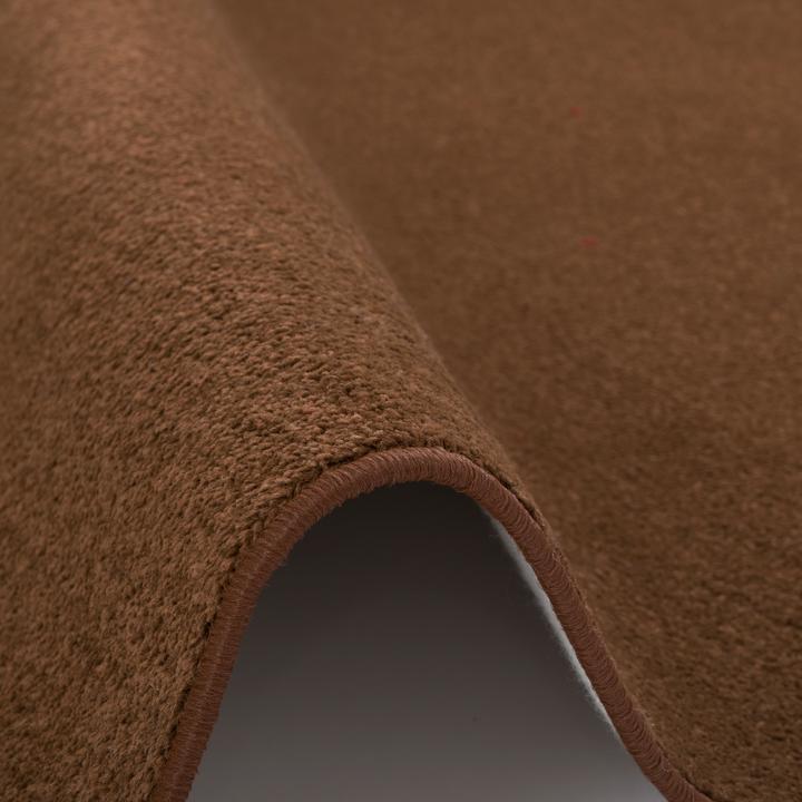 Produktbild Snapstyle Trend Velours Läufer Teppich Joy (100 x 300 cm)