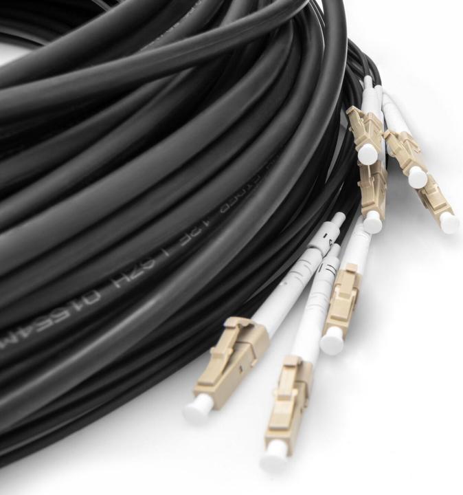 Actual product image Digitus Pre-assembled Fiberglass Universal Breakout Cable, Multi Mode OM4, 8 Fibers, LC/UPC - LC/UPC (LSOH, 75 m)