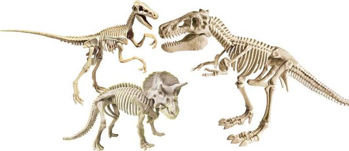 Actual product image Clementoni Archeo Ludic Legendary Dinos