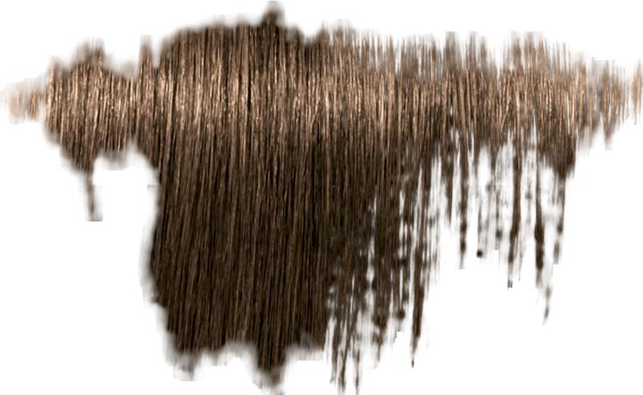 Image du produit Schwarzkopf Professional TBH couleur des cheveux (6-06 Chocolat naturel blond foncé)