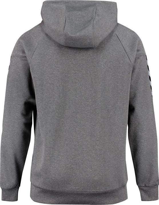 Produktbild hummel Authentic Charge Poly Hoodie (116)