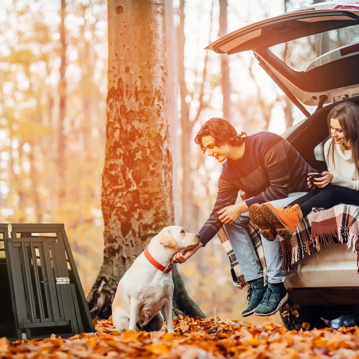 Produktbild Relaxdays Hundebox (Hund, Abschliessbar)