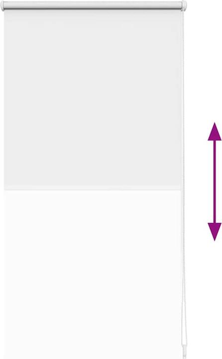 Produktbild vidaXL Verdunkelungsrollos (40 x 100 cm)