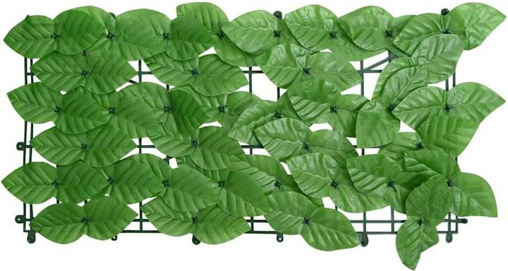 Produktbild vidaXL Balkonsichtschutz (75 cm)