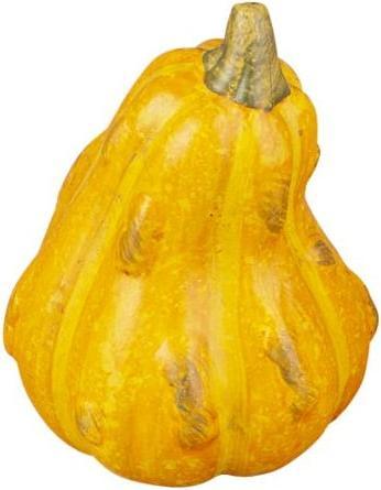 Produktbild MICA Living Kürbis - aus Terrakotta - ca. 5 x 5 x 7 cm - 1 Stück