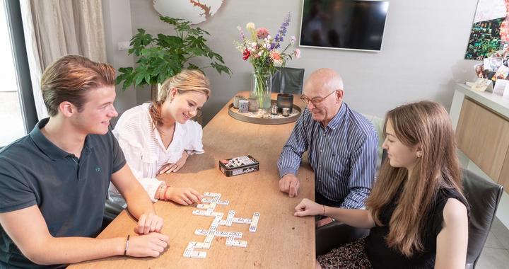 Produktbild Weible Dominos (2 - 4 Spieler)