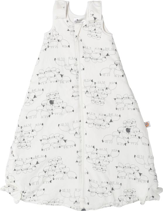 Ergobaby On The Move