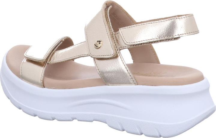 Produktbild Panama Jack Noor Shine B1 (38)