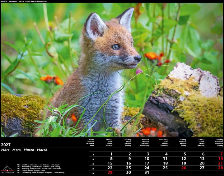 Actual product image Swiss Animals 2027