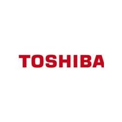 Toshiba Canvio Flex Excl 2TB Warm Silver (2 TB), Externe Festplatte, Silber