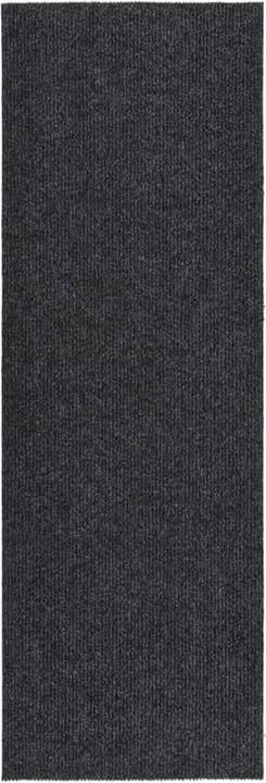 Actual product image vidaXL Kasha (100 x 300 cm)