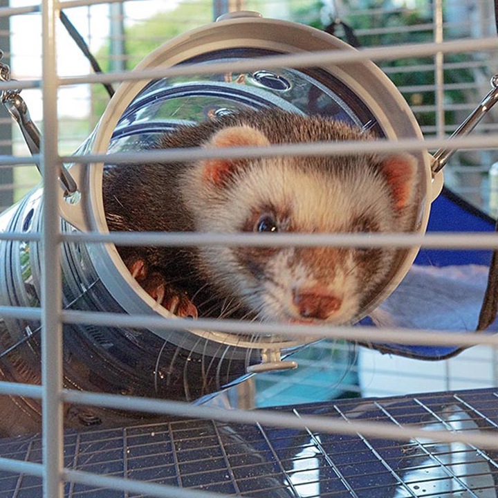 Produktbild Ferplast Furet Tower