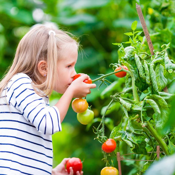 Immagine prodotto Relaxdays Aiuto per l'arrampicata (22 cm, 22 cm)