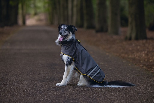 Produktbild Beeztees Hunde-Regenmantel Seja (XL, XXL, Hunderegenmantel)