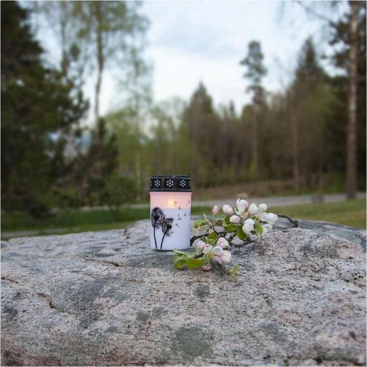 Produktbild Star Trading LED Grablicht Dandelion (1x)