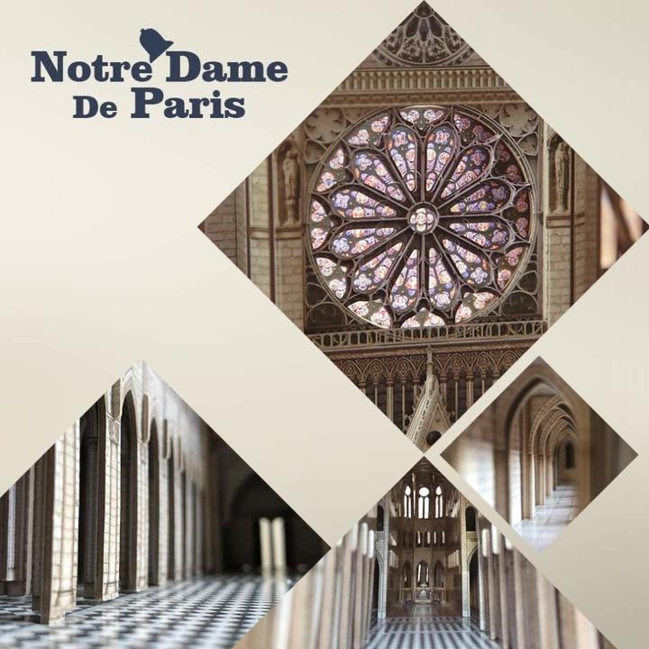 Actual product image Cubicfun 3D Jigsaw Noterdam Cathedral (293 pieces)
