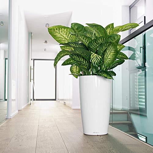 Actual product image Lechuza Rondo (40 x 75 cm)