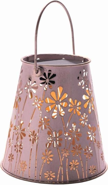 Image du produit STT Antic Daisy