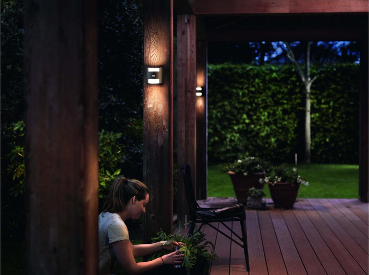 Image du produit Philips Herbe IR (800 lm)