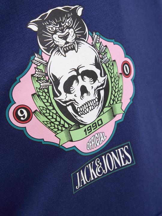 Actual product image Jack & Jones Jorskull Nature Sweat Hood Sn Jnr (152)