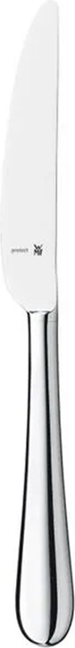 Merit (1 Piece, Knife)