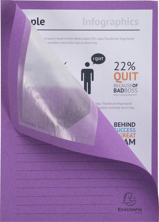 Image du produit Exacompta Fardes de classement - Couvertures de dossiers (A4, 100 x)