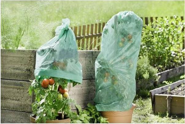 Image du produit Windhager Toile de tomate Supergrow